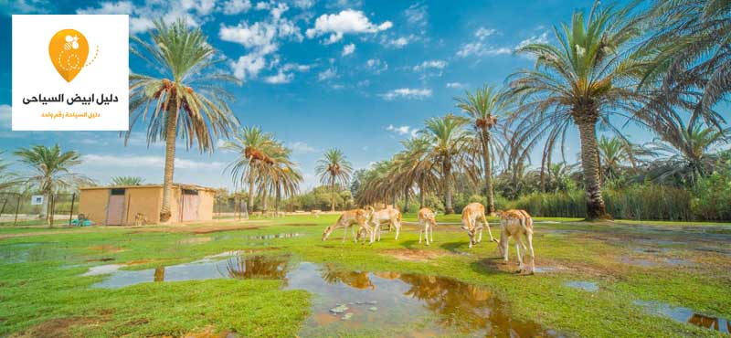 أفضل 8 أماكن سياحية زيارة فى الاسكندرية 2019 تعرف عليها